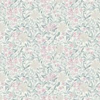 dsSTELLA-DCJ3497 EGRET